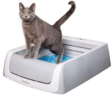 best electric litter box for multiple cats|best self scooping litter box.